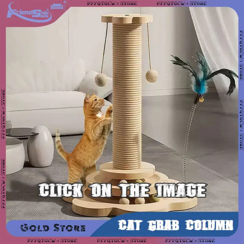 Semi-enclosed High-Side Cat Litter Box