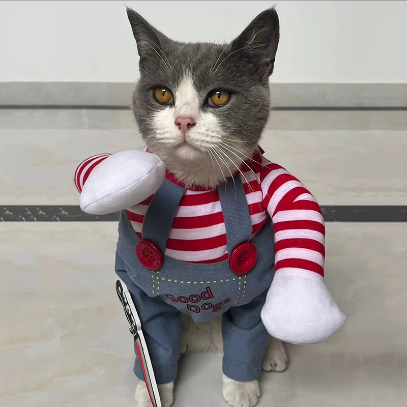 Funny Halloween Cat & Dog Costume
