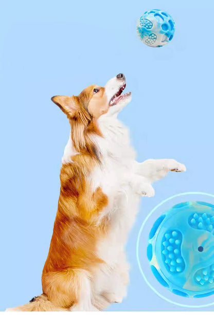 Durable Dog Teething & Training Toy