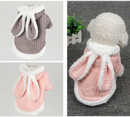 Lovable Cat & Small Dog Clothes