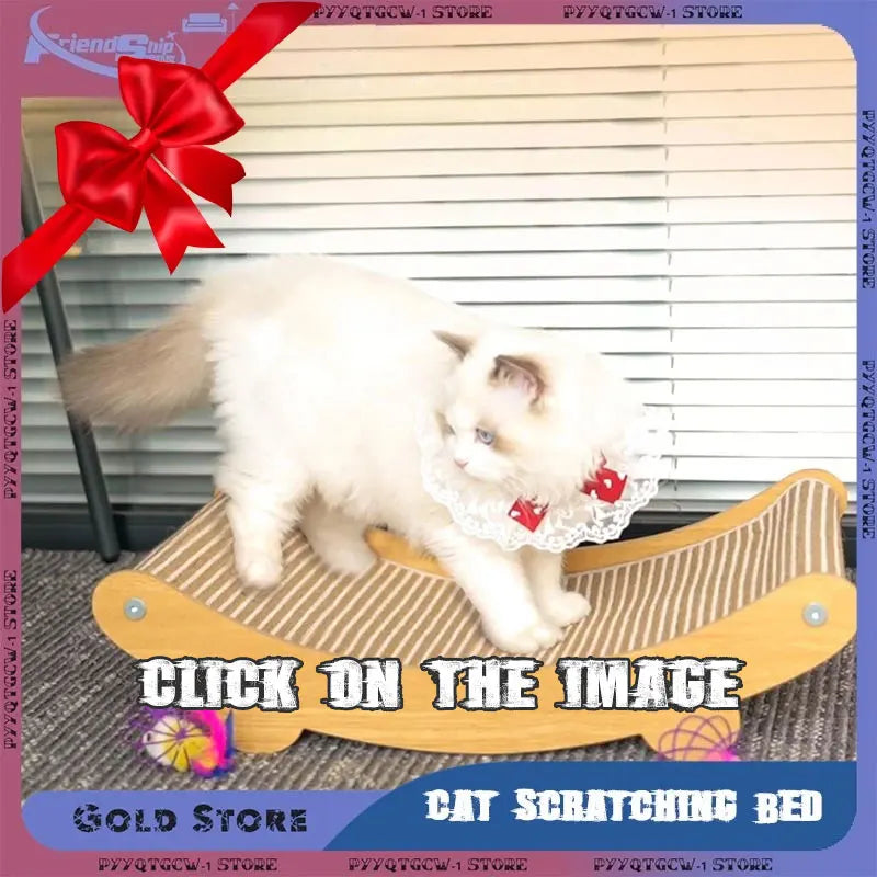 Semi-enclosed High-Side Cat Litter Box