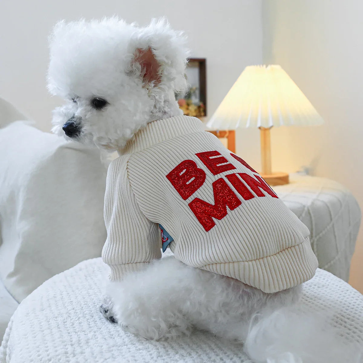 Hearts Round Neck Dog Sweater/Tee