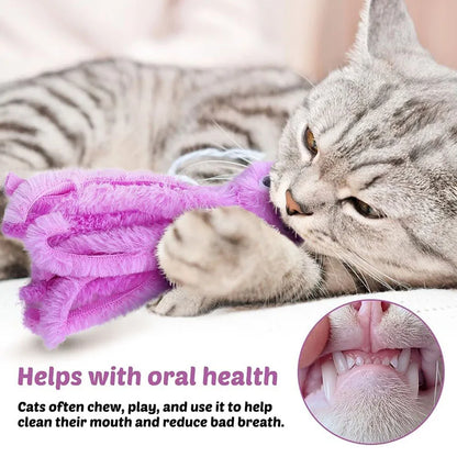 Cute Octopus Cat Chew Toys