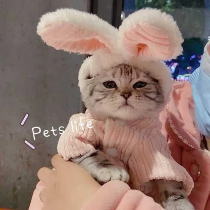 Lovable Cat & Small Dog Clothes