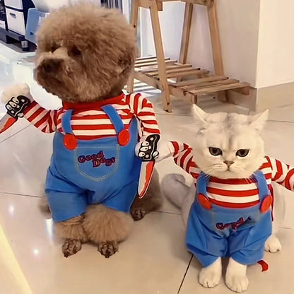 Funny Halloween Cat & Dog Costume