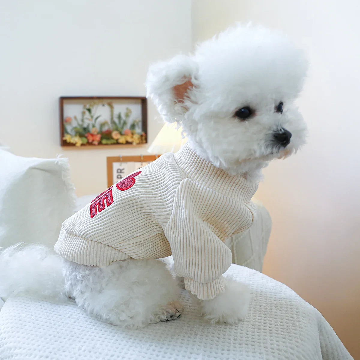 Hearts Round Neck Dog Sweater/Tee