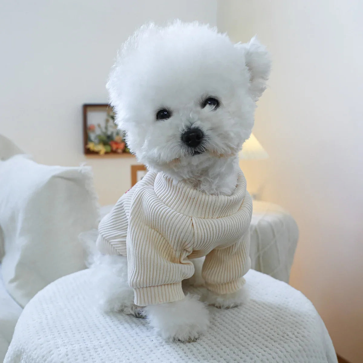 Hearts Round Neck Dog Sweater/Tee
